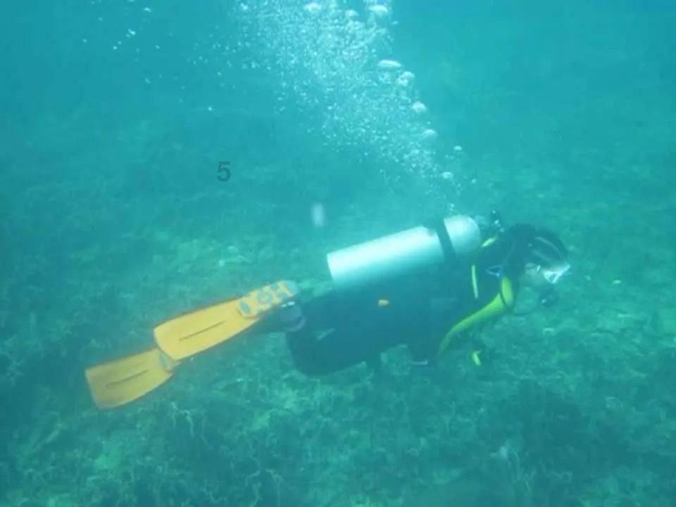 昼夜奋战 湘潭县城管执法局全力清雪除冰保畅通